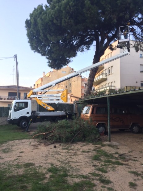 poda con camion cesta