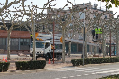 trabajos de jardinaeria con cesta